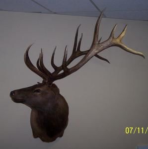 Meet your Posher, Robert